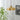 Axion Pendant Light - LUUGAA