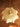 Axion Pendant Light - LUUGAA
