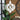 Ayrton Wooden Chandelier - LUUGAA