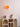 Balloon Wall Lamp - LUUGAA