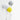 Balloon Wall Lamp - LUUGAA