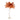 Beautiful Feather Brass Floor Lamp - LUUGAA