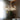 Big O Firefly LED Chandelier - LUUGAA