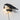 Bird Wall Light - LUUGAA