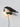 Bird Wall Light - LUUGAA