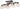 Black Iron Cage Ceiling Light - LUUGAA