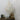 Boho Shell Tiered Chandelier - LUUGAA