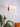 Bubble Ball Wall Sconce - LUUGAA