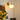 Bubble Pot Wall Lamp - LUUGAA