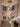 Butterfly Pendant Light - LUUGAA