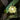 Capiz Pendant Lamp - LUUGAA