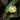 Capiz Pendant Lamp - LUUGAA