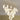 Ceramic Flower Pendant Light - LUUGAA
