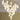 Ceramic Flower Pendant Light - LUUGAA