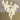 Ceramic Flower Pendant Light - LUUGAA