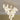 Ceramic Flower Pendant Light - LUUGAA