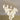 Ceramic Flower Pendant Light - LUUGAA