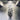 Charcoal Chandelier - LUUGAA