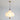 Chestnut Bloom Pendant Lamp - LUUGAA