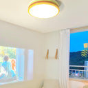 Color Stack Ceiling Lamp - LUUGAA