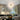 Crystal Dandelion Chandelier - LUUGAA