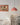 Dome Morphe Pendant Light - LUUGAA