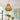 Dreamlight Rattan Woven Pendant Light - LUUGAA