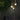 Droplet Chandelier - LUUGAA