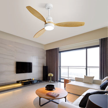 Alpine Breeze Ceiling Fan Light