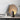 Eclipse Stone Table Lamp - LUUGAA