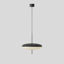 Elliptical Prism Pendant Light - LUUGAA