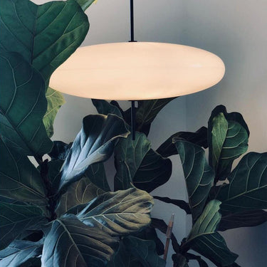 Elliptical Prism Pendant Light - LUUGAA