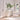 Elysia LED Wall Lamp - LUUGAA