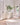 Elysia LED Wall Lamp - LUUGAA
