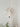 Embroidered Pendant Light - LUUGAA