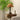 Emily Charm Table Lamp - LUUGAA