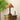 Emily Charm Table Lamp - LUUGAA