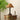 Emily Charm Table Lamp - LUUGAA