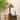 Emily Charm Table Lamp - LUUGAA