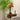 Emily Charm Table Lamp - LUUGAA