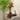 Emily Charm Table Lamp - LUUGAA