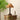 Emily Charm Table Lamp - LUUGAA