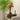 Emily Charm Table Lamp - LUUGAA