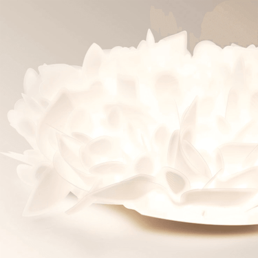 Feather Ceiling Light - LUUGAA