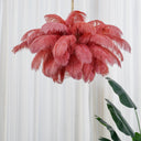 Feather Chandelier - LUUGAA