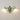 Flared Wall Lamp - LUUGAA