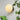 Flat Shape Wall lamp - LUUGAA
