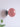 Flat Shape Wall lamp - LUUGAA