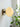 Flat Shape Wall lamp - LUUGAA