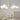Florence Petal Chandelier - LUUGAA